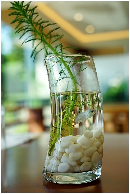 山多利2.jpg 山多利2.jpg