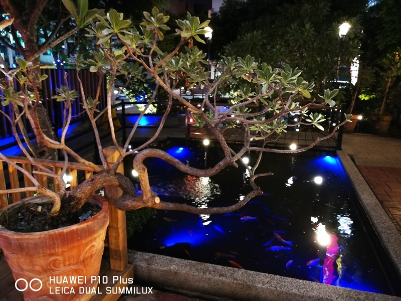 IMG_20170513_193841.jpg IMG_20170513_193841.jpg