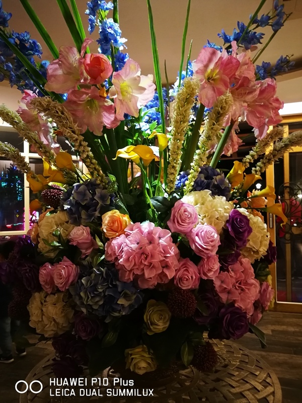 IMG_20170513_193719.jpg IMG_20170513_193719.jpg