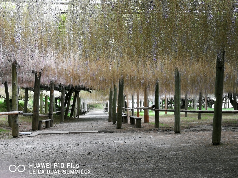 IMG_20170516_103402.jpg IMG_20170516_103402.jpg