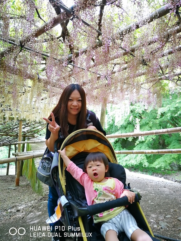 IMG_20170516_103026.jpg IMG_20170516_103026.jpg