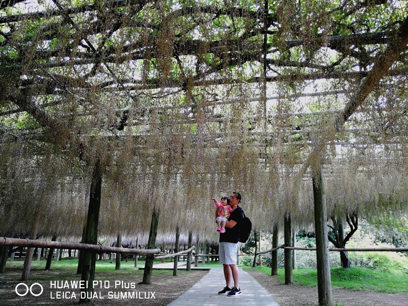 IMG_20170516_104448.jpg IMG_20170516_104448.jpg