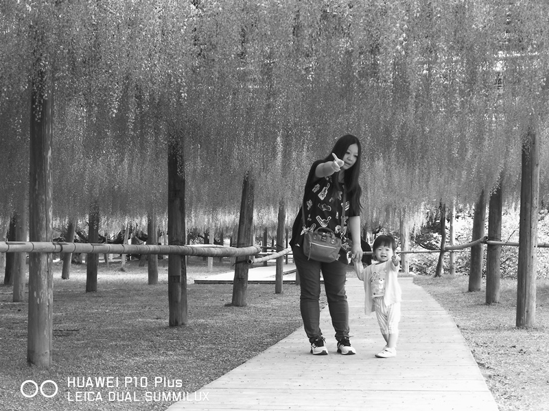 IMG_20170516_104257.jpg IMG_20170516_104257.jpg