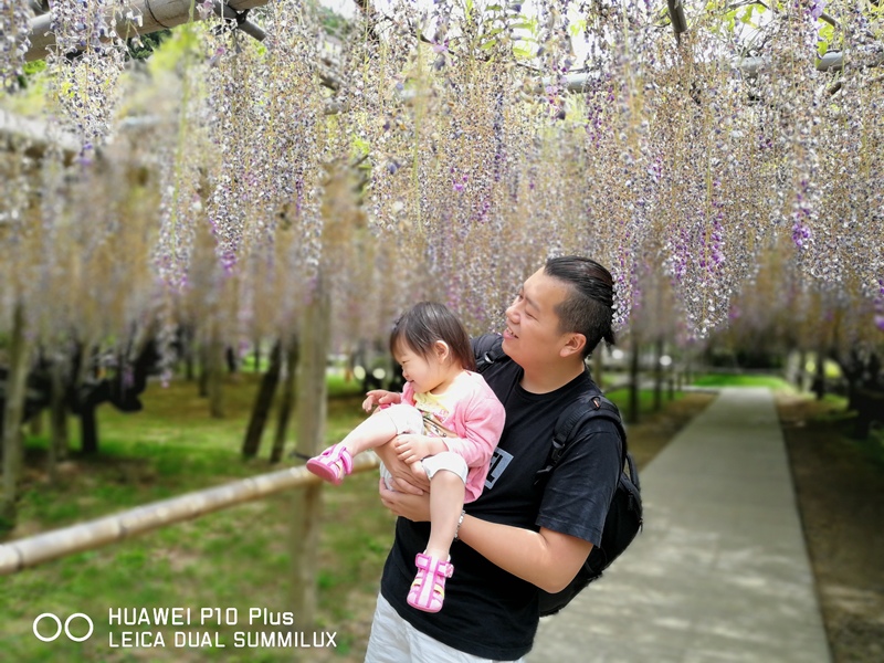 IMG_20170516_105100.jpg IMG_20170516_105100.jpg