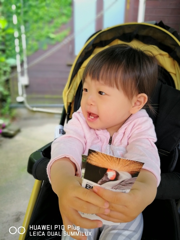 IMG_20170516_142052_1.jpg IMG_20170516_142052_1.jpg