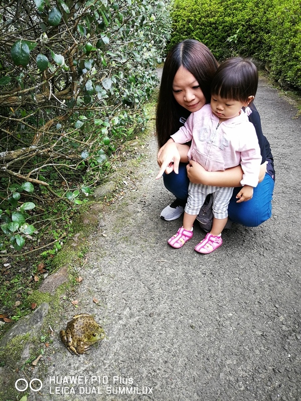 IMG_20170516_145410.jpg IMG_20170516_145410.jpg