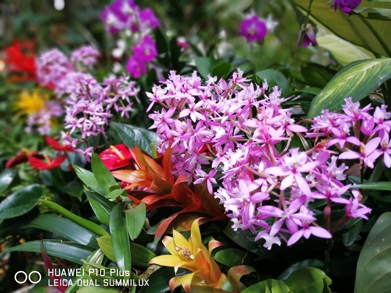 IMG_20170516_143253.jpg IMG_20170516_143253.jpg