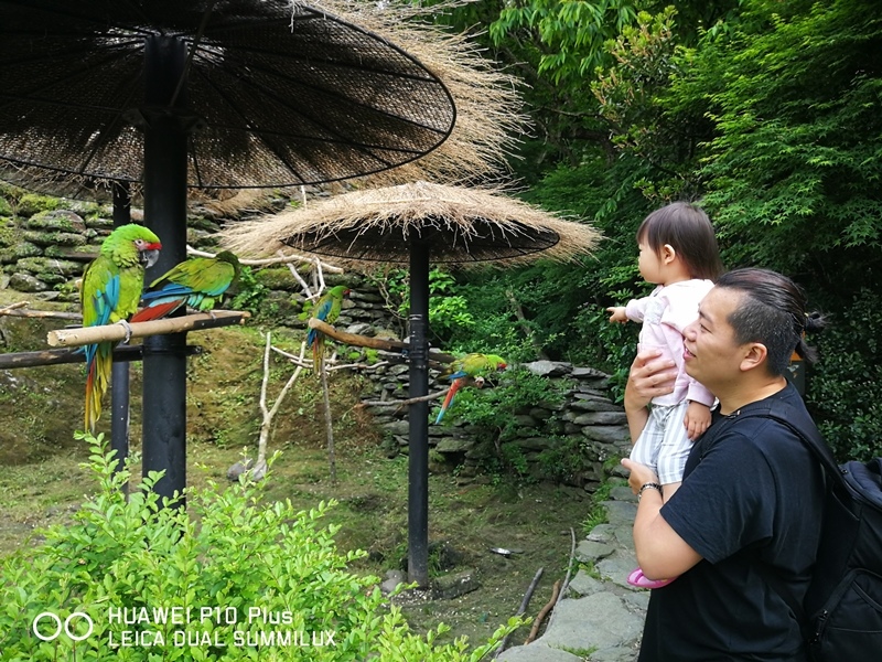 IMG_20170516_145528.jpg IMG_20170516_145528.jpg