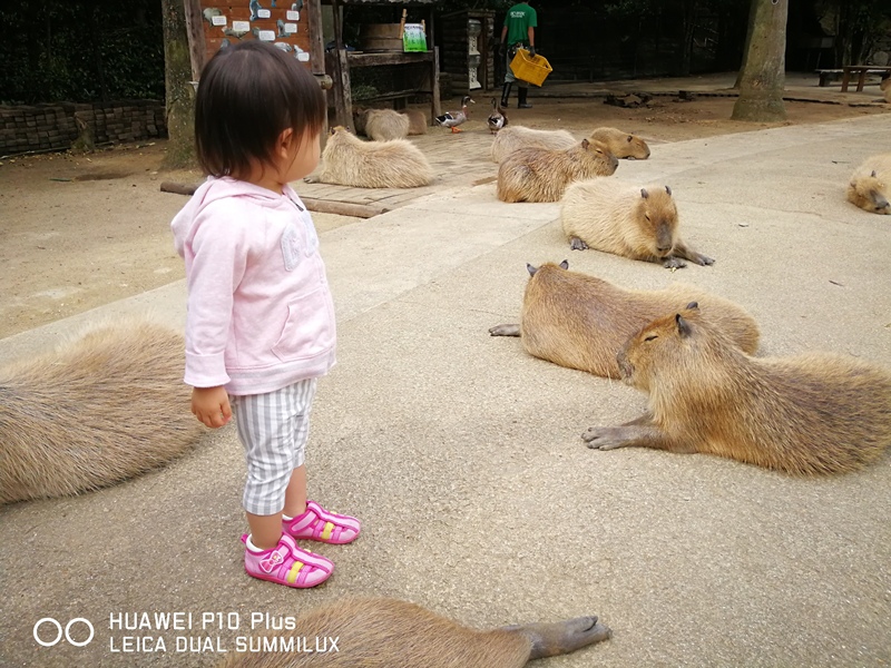 IMG_20170516_152107.jpg IMG_20170516_152107.jpg