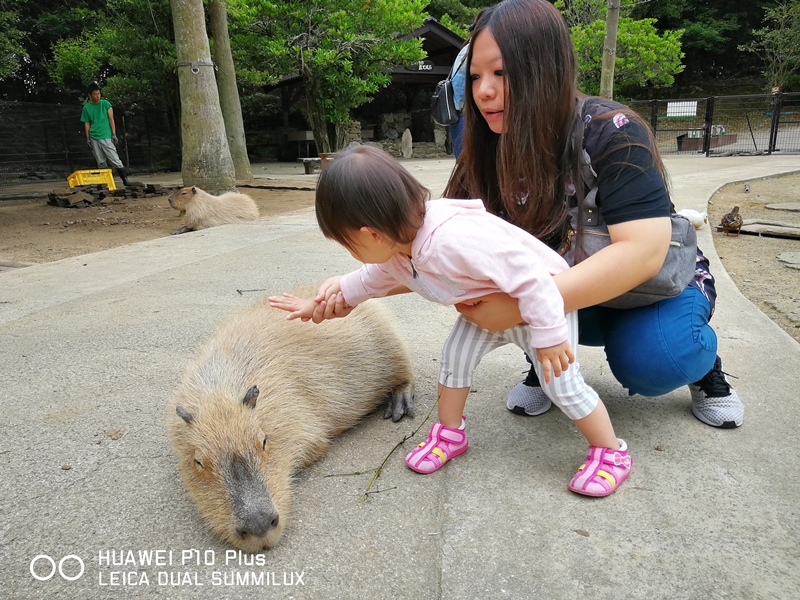 IMG_20170516_151220_1.jpg IMG_20170516_151220_1.jpg