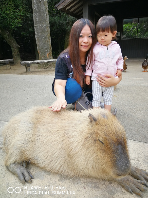 IMG_20170516_151956.jpg IMG_20170516_151956.jpg