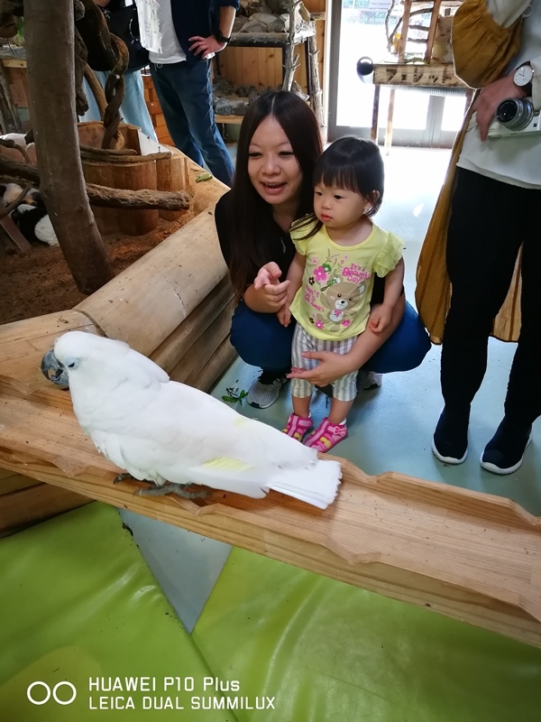 IMG_20170516_163204.jpg IMG_20170516_163204.jpg