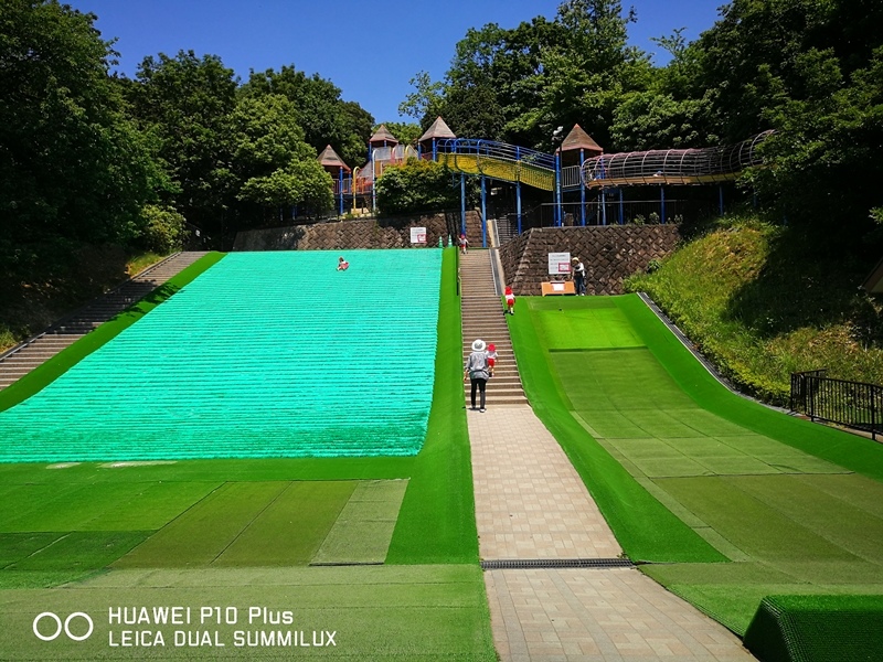 IMG_20170517_120717.jpg IMG_20170517_120717.jpg