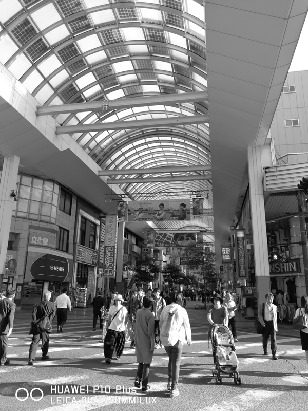 IMG_20170517_172130.jpg IMG_20170517_172130.jpg