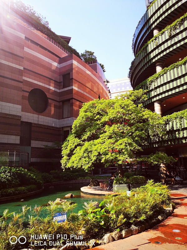 IMG_20170519_154232.jpg IMG_20170519_154232.jpg