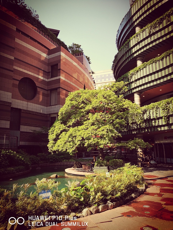 IMG_20170519_154252.jpg IMG_20170519_154252.jpg