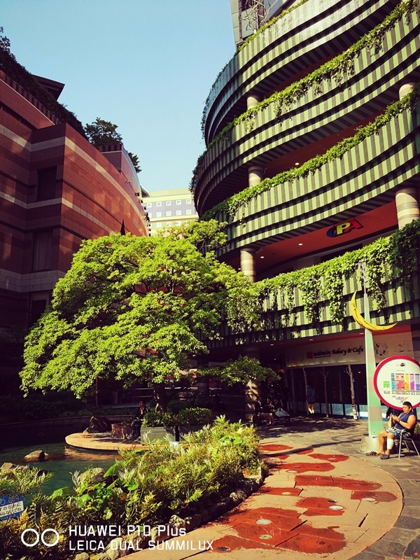 IMG_20170519_154309.jpg IMG_20170519_154309.jpg