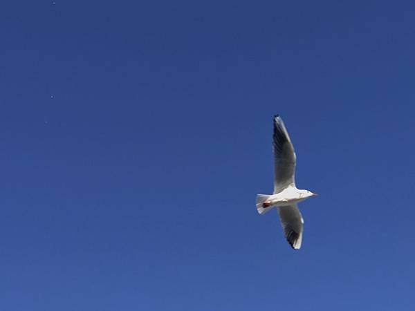 IMG_8724.JPG IMG_8724.JPG