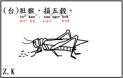 肚猴 肚猴