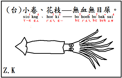 小卷 小卷