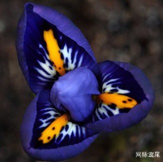 20130610084836308.jpg 20130610084836308.jpg