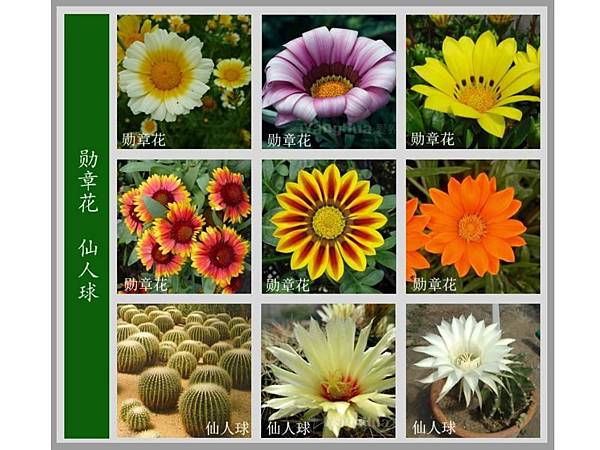 下載 (35).jpg 下載 (35).jpg