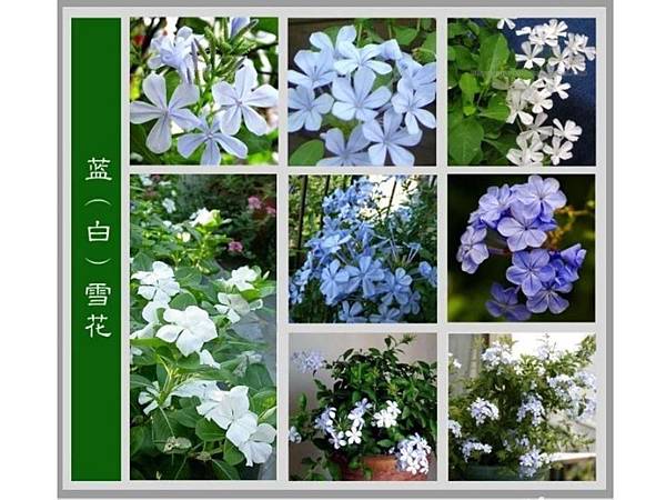 下載 (47).jpg 下載 (47).jpg