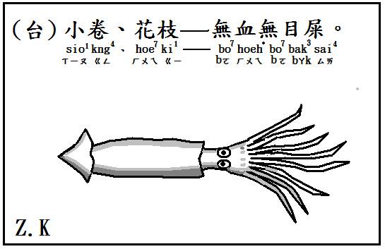 小卷.bmp 小卷.bmp