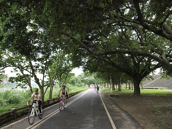 華江雁鴨自然公園2.jpg