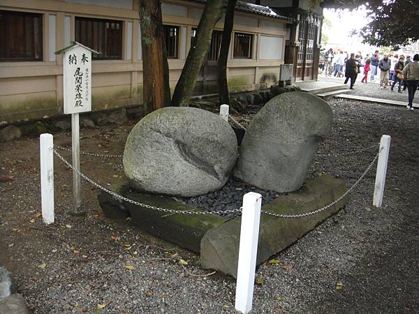 神社四處都是這個