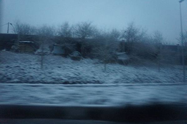 DSC05571 DSC05571