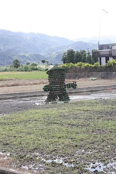 花蓮旅記 稻草人.JPG