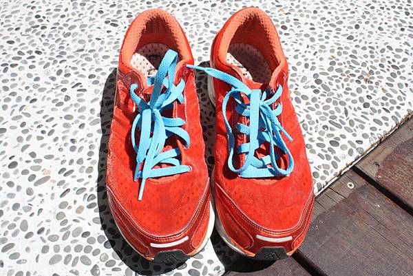 Adidas Clima Cool Seduction