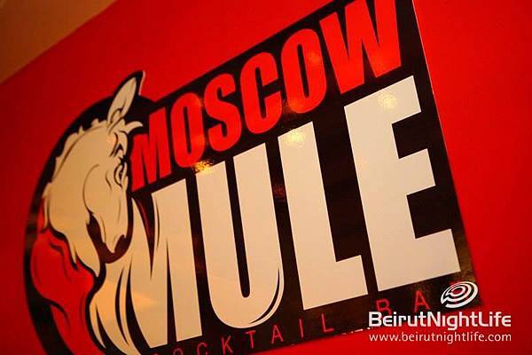 莫斯科騾子（moscow mule）