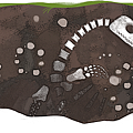 瑪麗安寧 Mary Anning 215 歲誕辰-google doodle