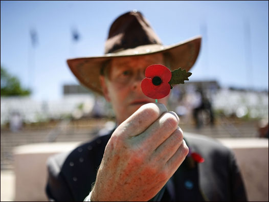 休戰(國殤)紀念日 (Armistice Day Remembrances)