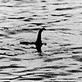 尼斯湖水怪（Loch Ness Monster ）