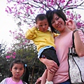 DSC02671-800.jpg