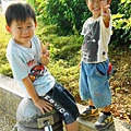 DSC02594-800.jpg