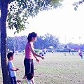 DSC02642-800.jpg