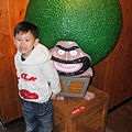 DSC00371-800