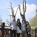 DSC00537-800