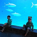DSC00661-800