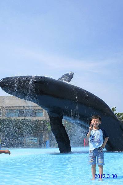 DSC00685-800