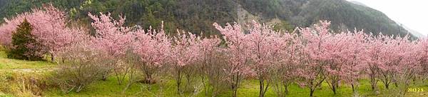 DSC02163-1200