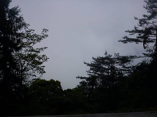 DSC00080.JPG
