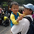 DSC00003.JPG