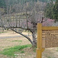 wuling farm7.jpg