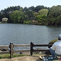 井之頭公園1.jpg