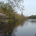 井之頭公園2.jpg